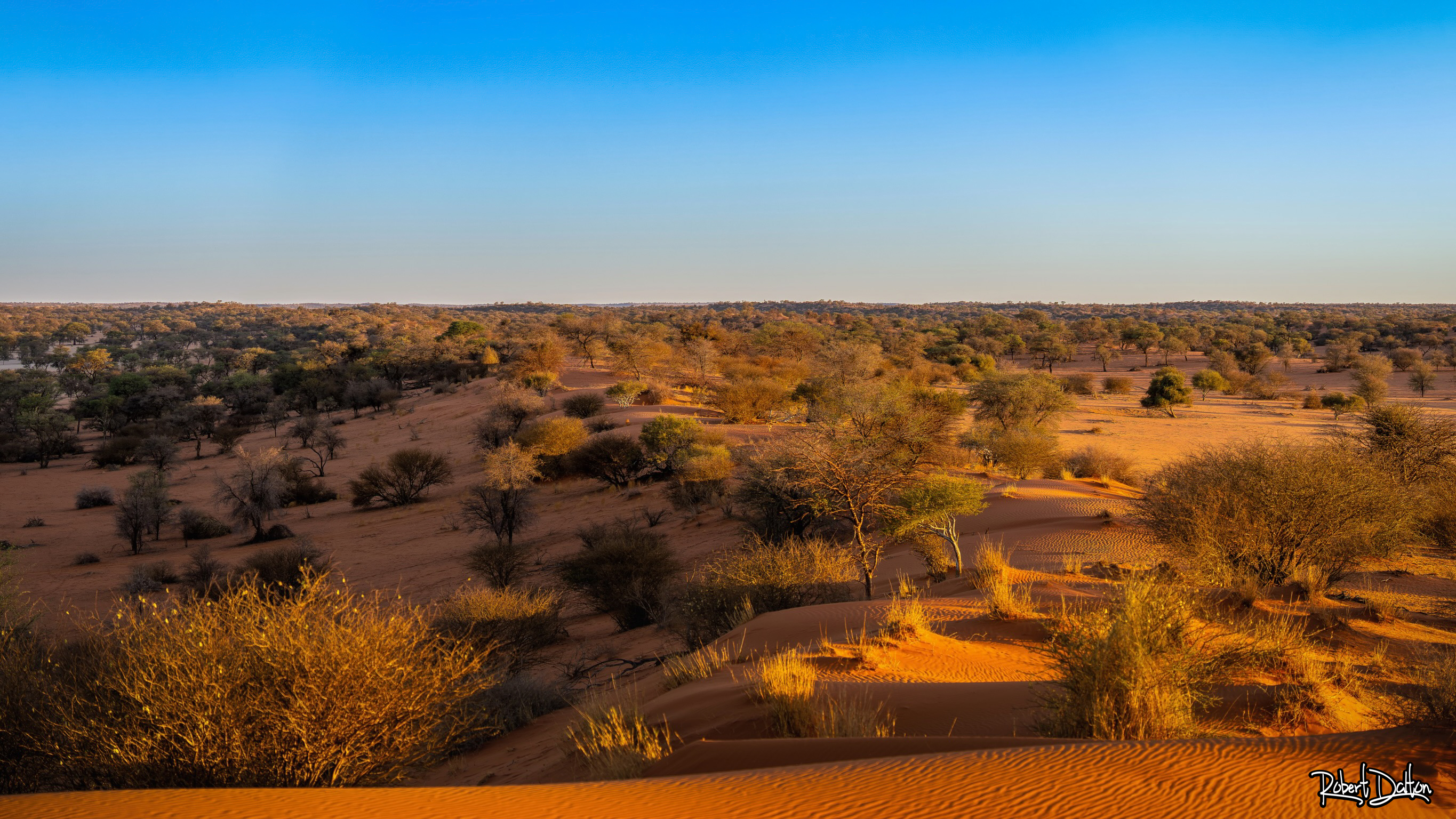 Sonnenuntergang in der Kalahari