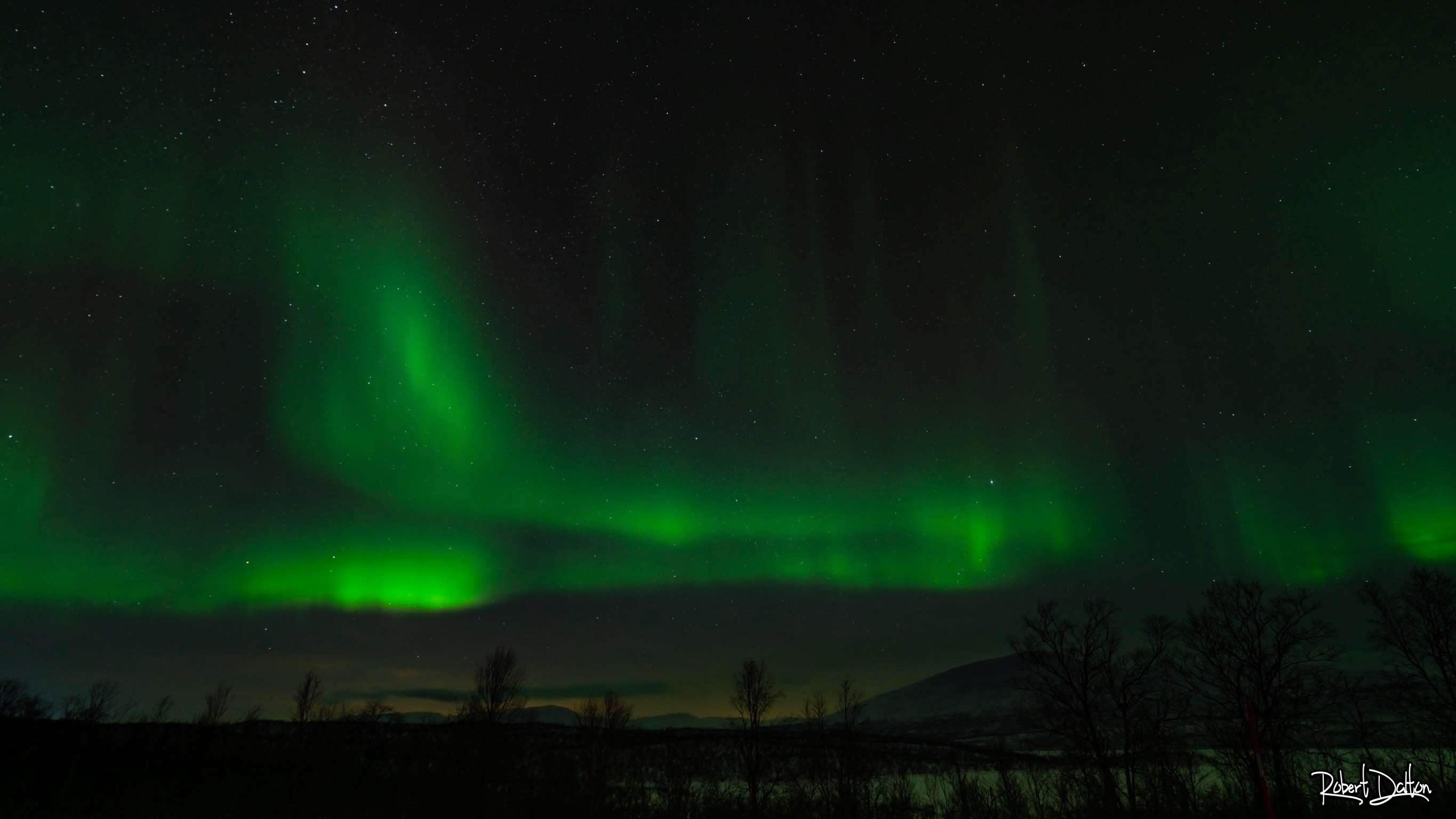 Norrbotten Aurora