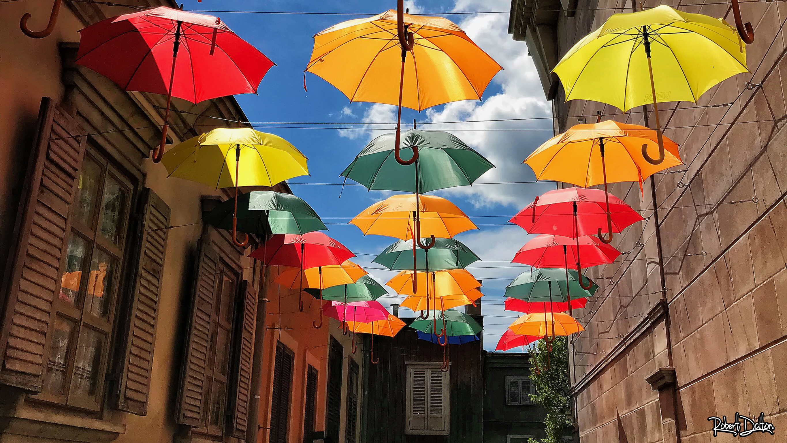 sonniger regenschirm