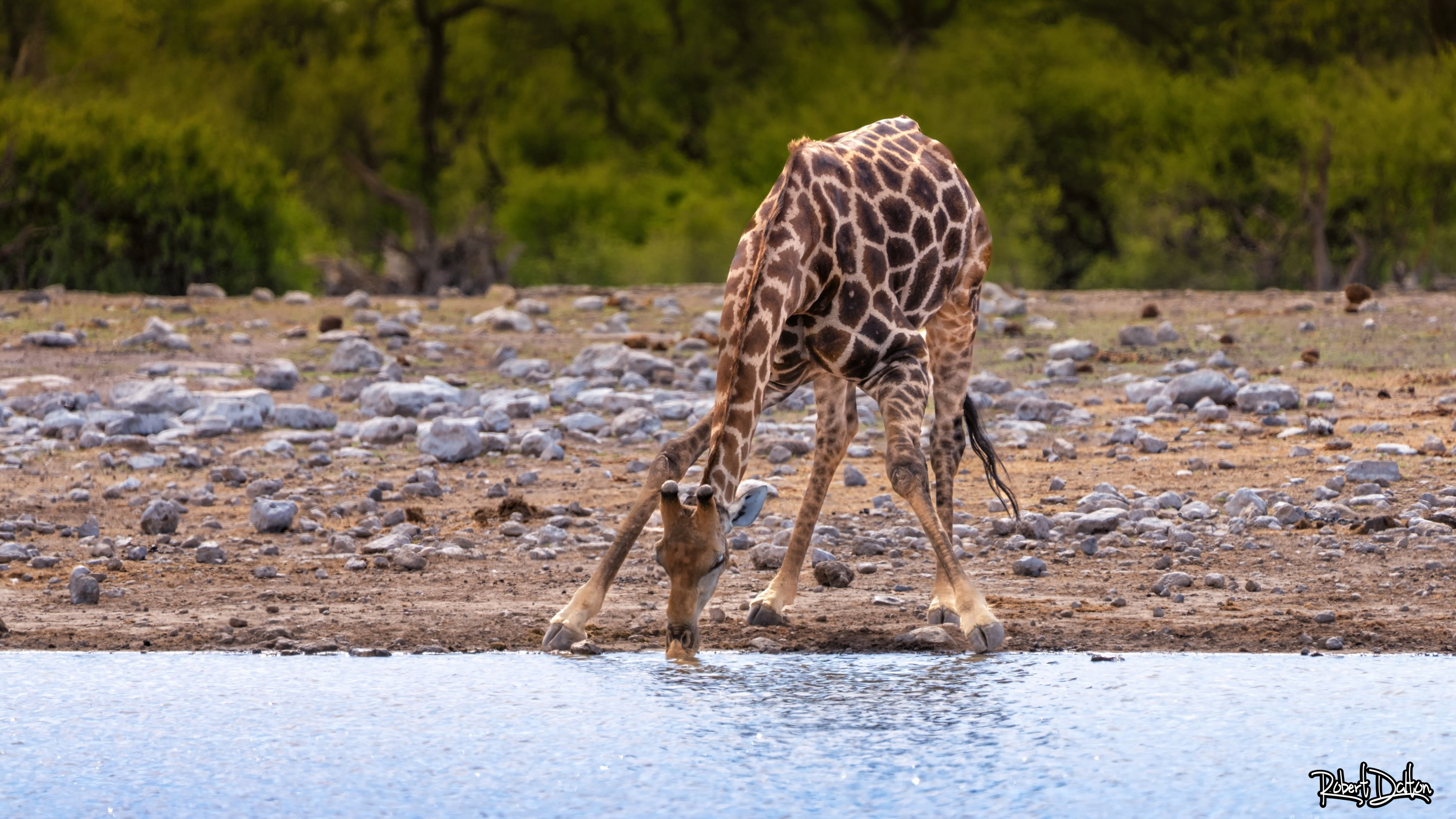 Schwierig zu trinken
