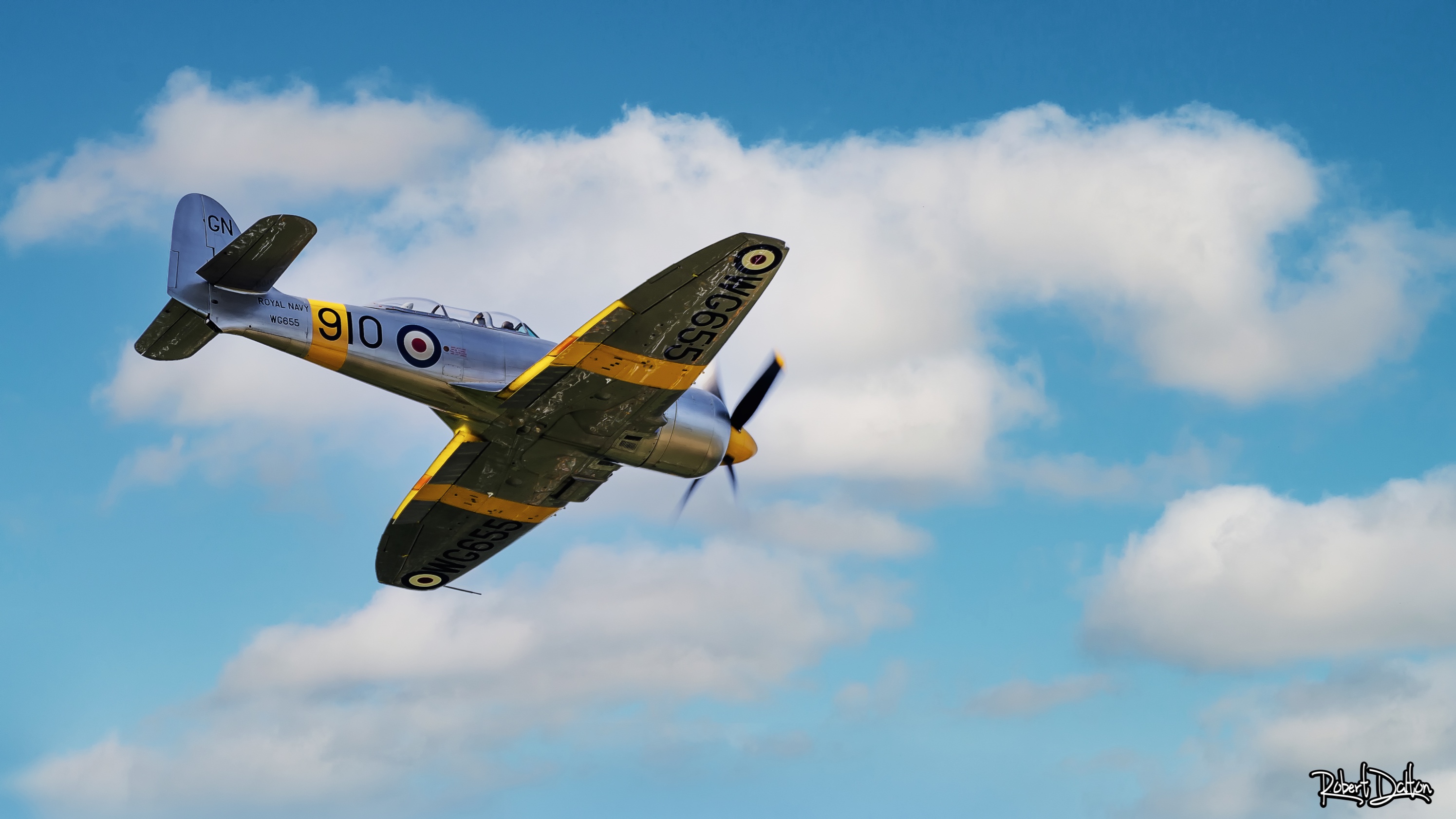 Ein Hawker Sea Fury