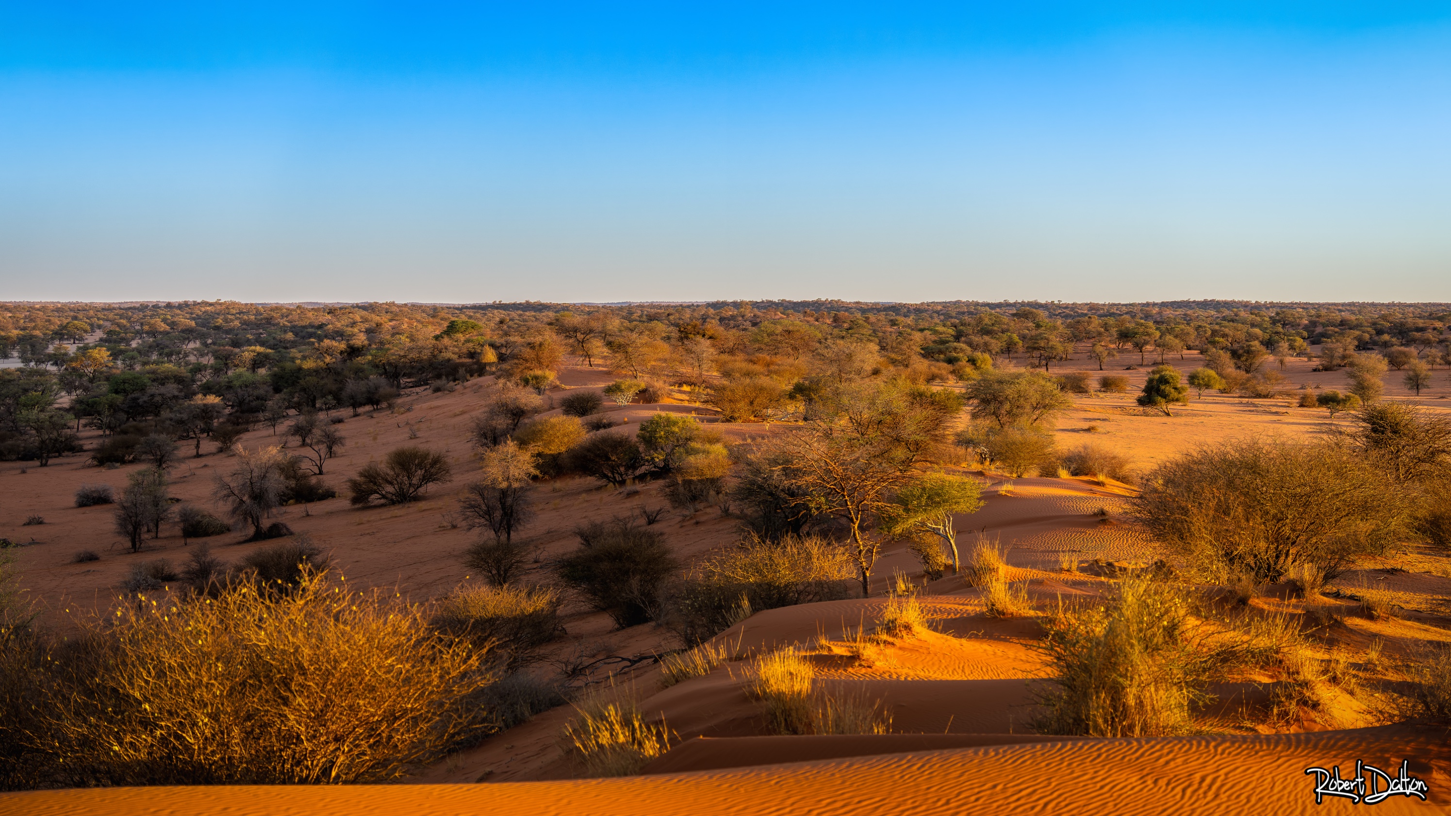 Sonnenuntergang in der Kalahari