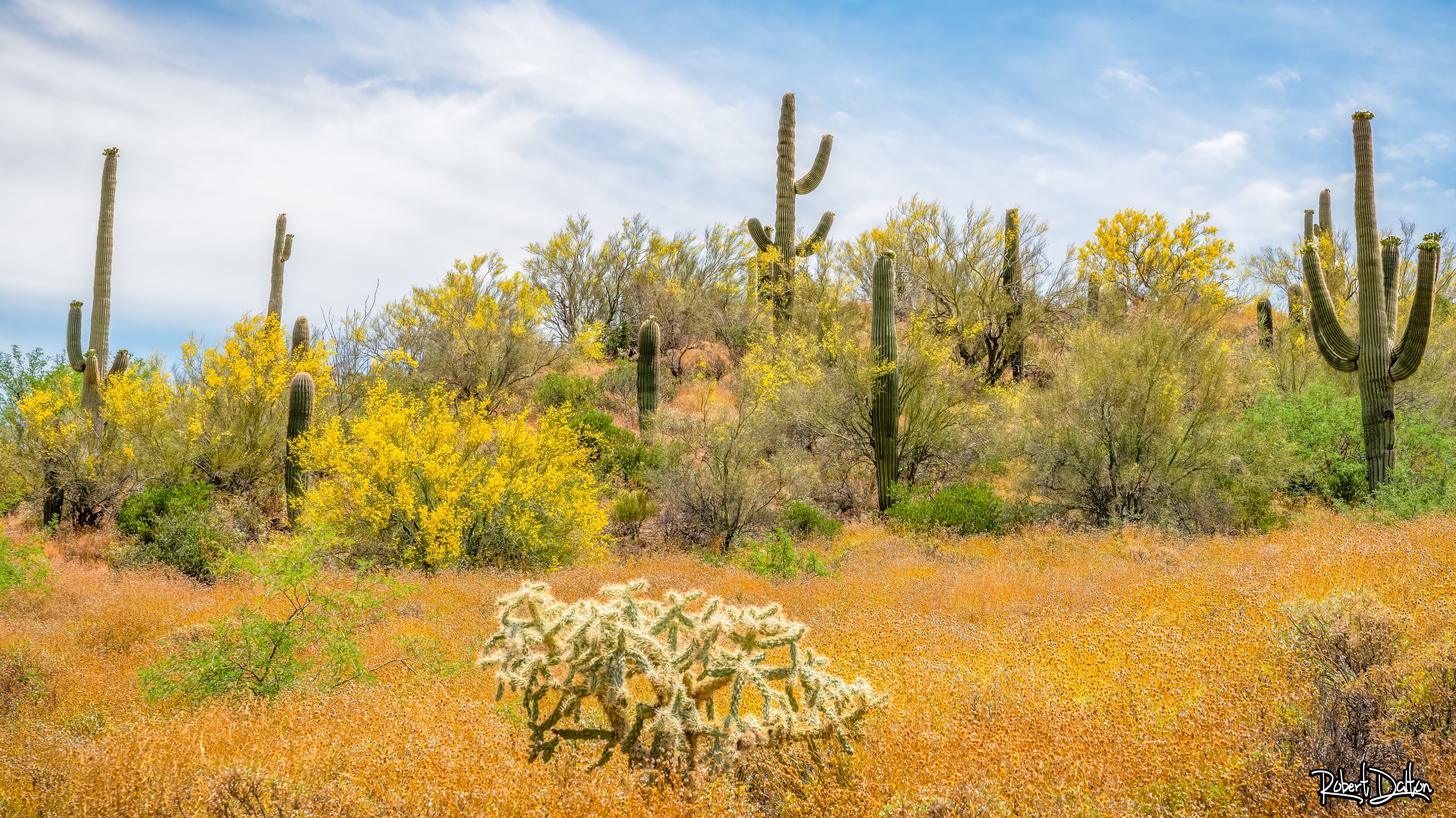 Eine völlig andere Landschaft
